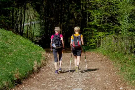 Nordic Walking im Glottertal und Südschwarzwald