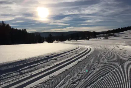 Wintersport am Kandel, Schauinsland und Feldberg