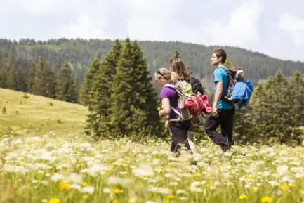 Wandern im Glotertal und Südschwarzwald